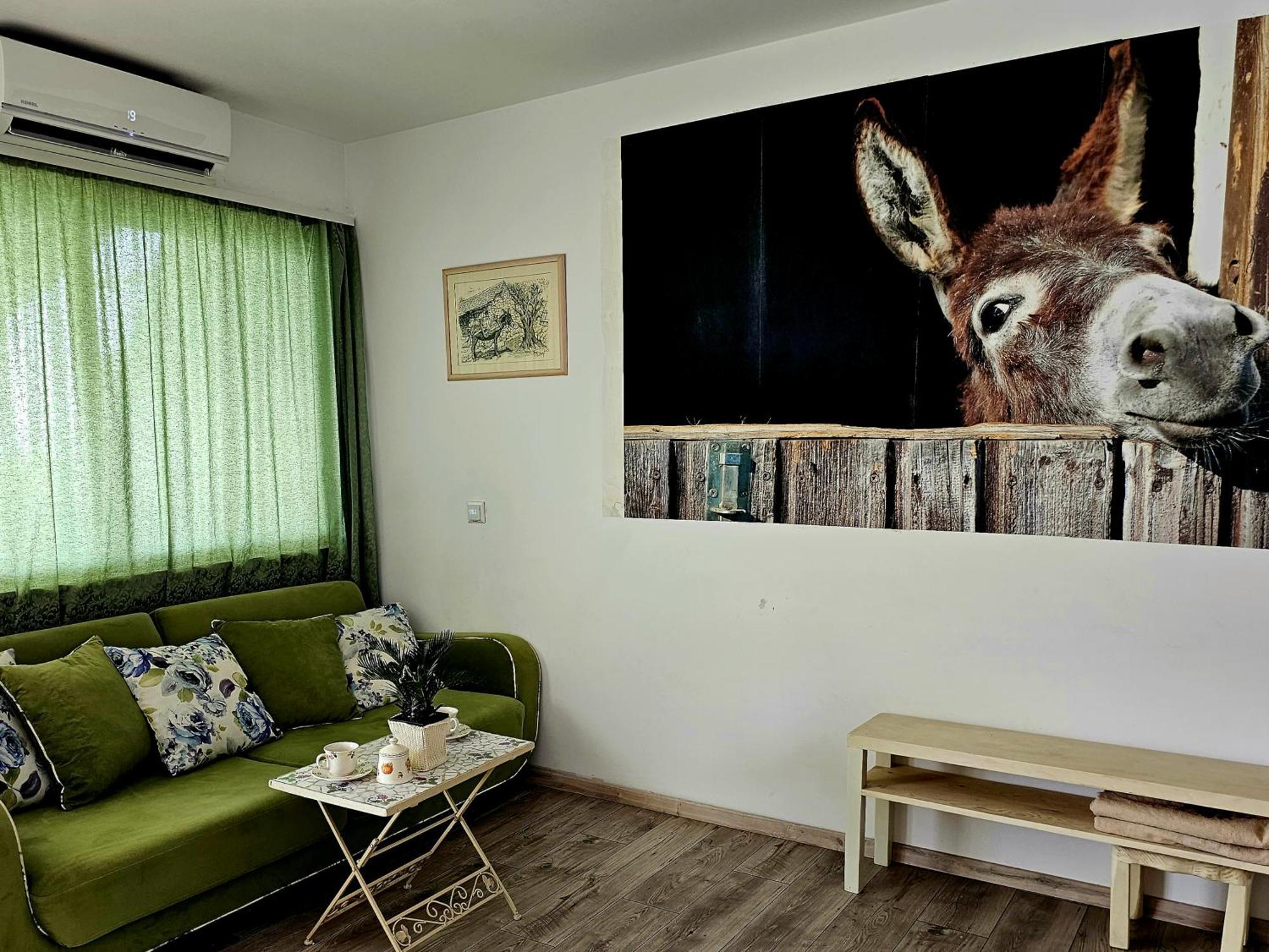 Apartment With A Magical View Split Exterior photo